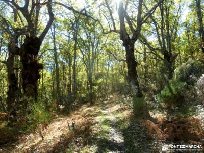 Sierra del Rincón-Río Jarama; las hoces del rio duraton la sierra de mariola peña trevinca mapa s